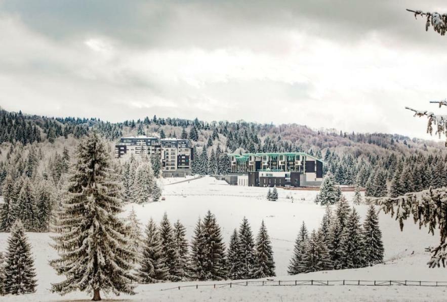 Appartement Charming 3-bedroom Poiana Brasov